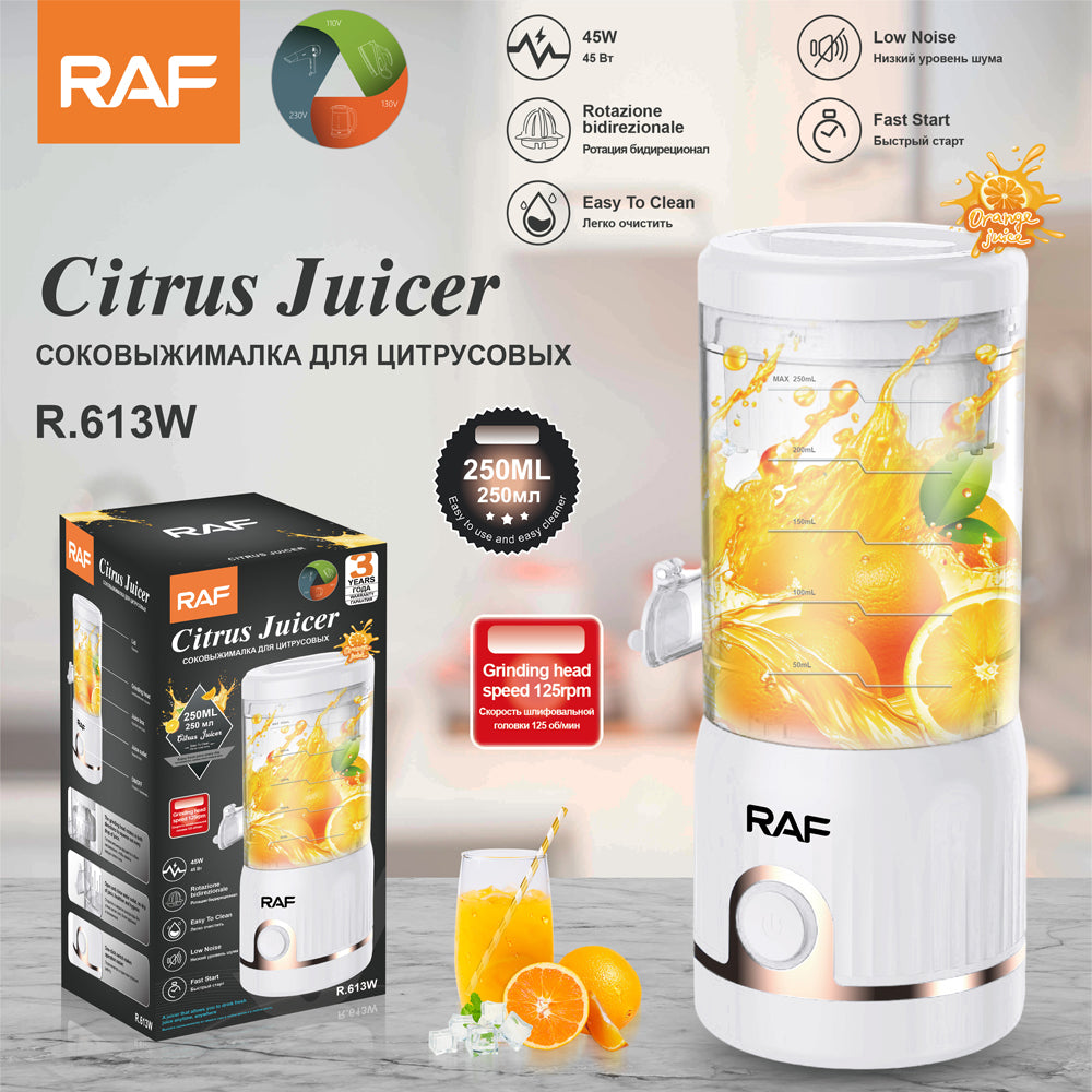 Mini blender RAF 613W , 45W, 250ML