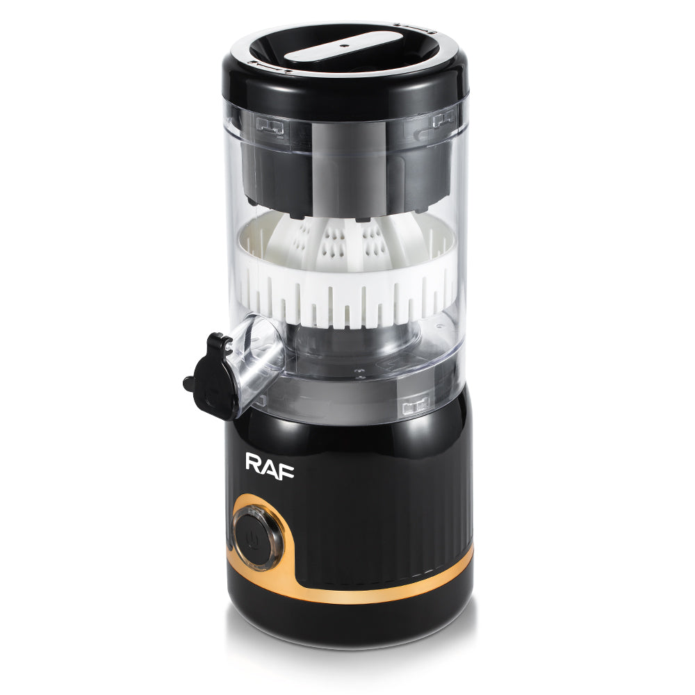 Mini blender RAF 613W , 45W, 250ML
