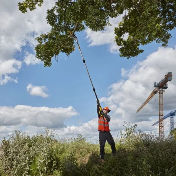 Set Mini Drujba, Foarfeca Electrica, Foarfeca Gard Viu, cu Tija Telescopica 2M si 2 Acumulatori 48V